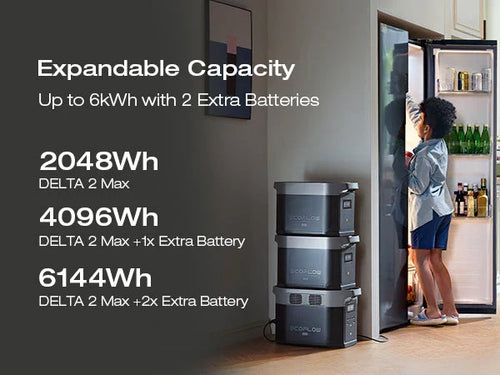 EcoFlow DELTA 2 Max + 1*220W Solar Panel