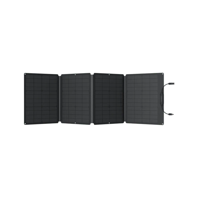 EcoFlow DELTA 2 Max + 1*160W Solar Panel