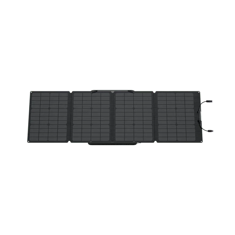 EcoFlow DELTA 2 + 110W Portable Solar Panel